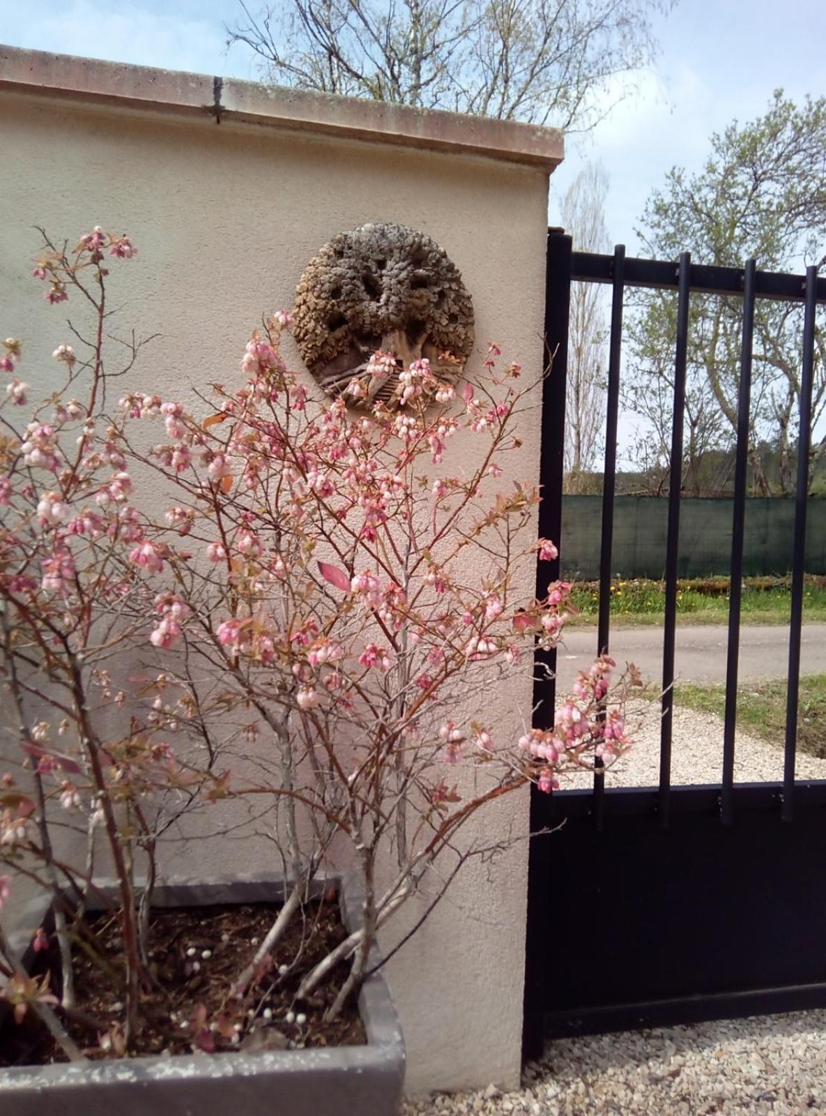 Le Repos Coquelicot Bed & Breakfast Montillot ภายนอก รูปภาพ